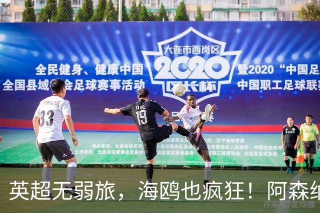 英超无弱旅，海鸥也疯狂！阿森纳3球惨败，拉亚成了远射背景板