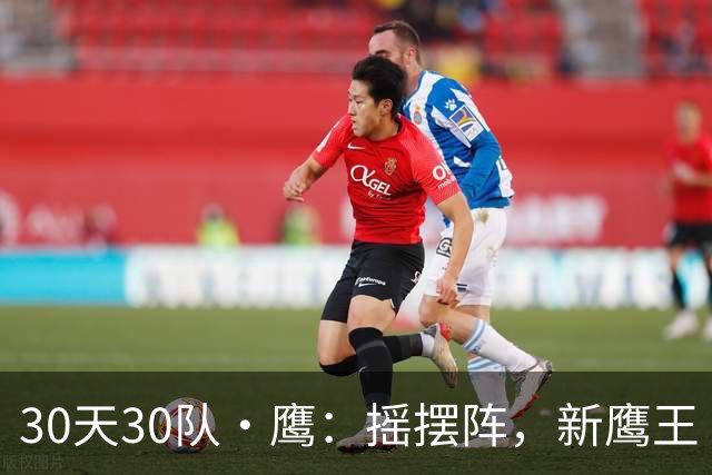 30天30队·鹰：摇摆阵，新鹰王